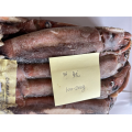 Congelado illex argentinus entero calamar redondo 100-200 g